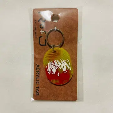 Rofj 크라피카 아크릴 키링 헌터헌터 점프