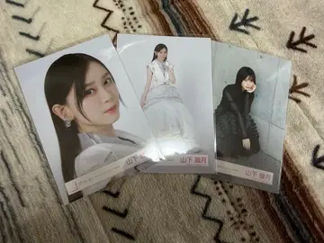 야마시타 시즈키 재킷 사진