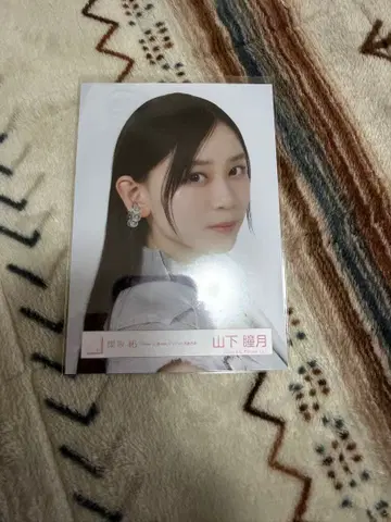 야마시타 시즈키 재킷 사진 근접