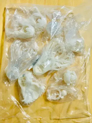 Meki 메키 조형의 마음 미도색 헤어 파츠 8종 세트