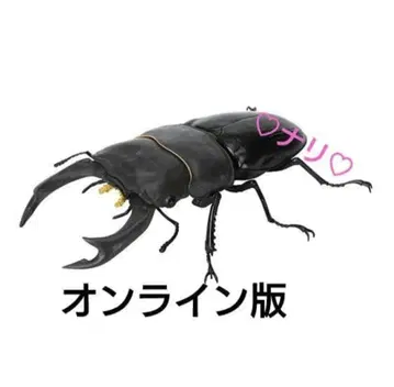 [온라인판] 오오쿠와가타 (개정) 생물대도감 장수풍뎅이 09 곤충 생물