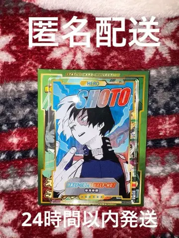 나의 히어로 아카데미아 히로아카 스탯 카드 컬렉션 토도로키 쇼토
