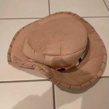 디즈니랜드 우디 모자 토이 스토리