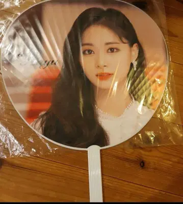 TWICE DOME TOUR 2019 '#Dreamday' 쯔위 부채