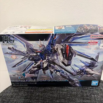 건담 프라모델 HG 1/144 라이징 프리덤 건담
