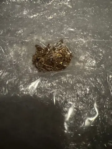 JOJOWORLD 제일복권 5부 엠블럼 핀 배지