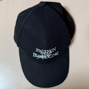 &TEAM &team 엔치 엔티엠 모자 캡 햇 네이비