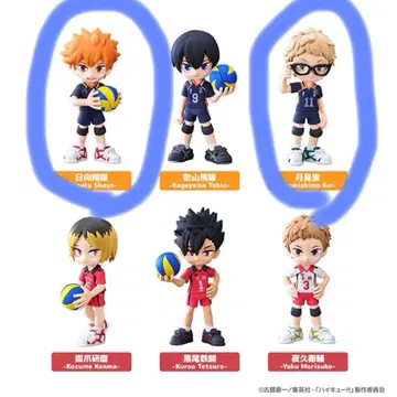 팔버스 하이큐!! 피규어 히나타 쇼요 츠키시마 케이