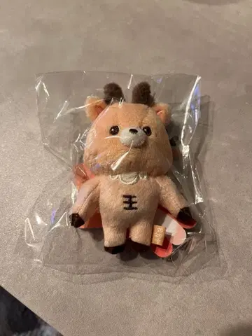 RIIZE 베이비 RIIZE 키링 성찬