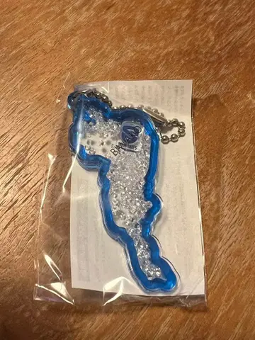 비와코 키링 시가 레이커스 2