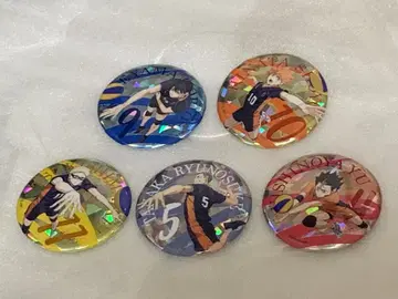 하이큐 반짝반짝 캔뱃지 쓰레기장 결전 카라스노 고교 세트