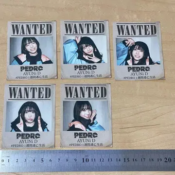 PEDRO 1주간 도망생활 혜택 스티커