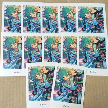 앙스타 파샤랏츠 라이카 호죠 라이카