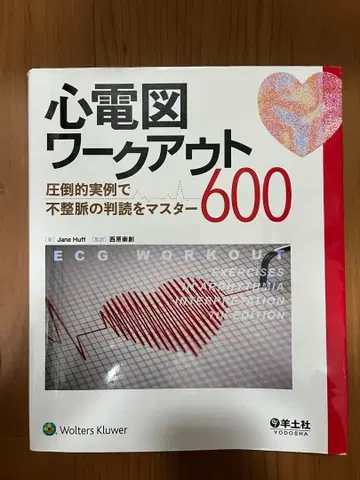 심전도 워크아웃 600