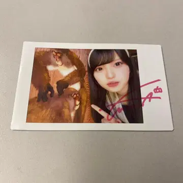 팬텀 시타 괴기 나비 사진집 이벤트 랜덤 폴라로이드 모나 사인 포함