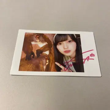 팬텀 시타 괴기 나비 사진집 이벤트 랜덤 폴라로이드 모나 사인 포함