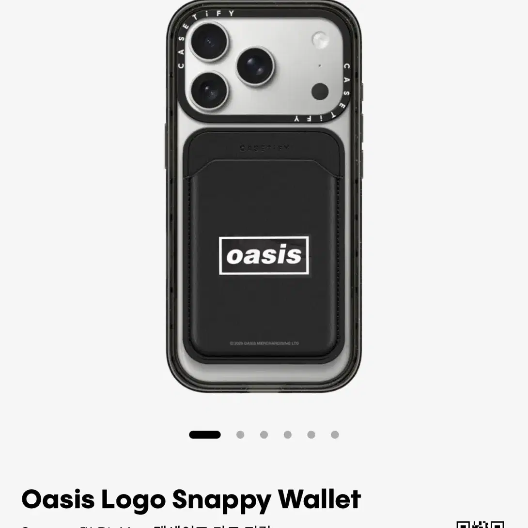 CASETIFY | 케이스티파이 Casetify Chiikawa Passport Card Wallet on Bunjang Global  Site.