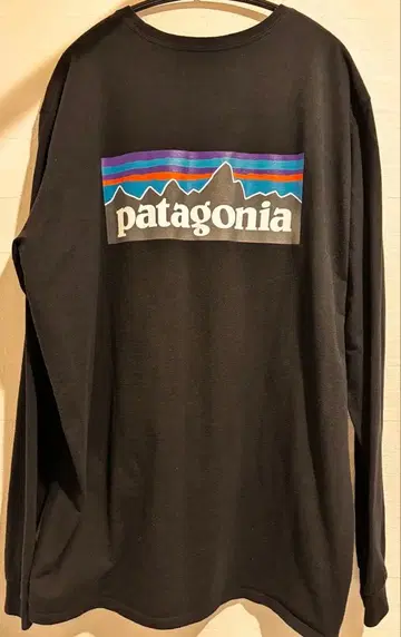 patagonia 롱T P-6