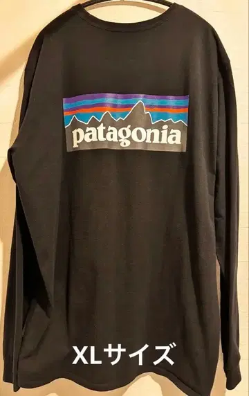 patagonia 롱T P-6