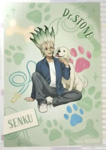 dr.stone 닥터스톤 이시가미 센쿠 엽서 특전 브로마이드