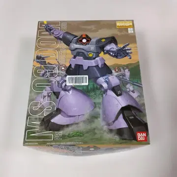 BANDAI MG MS-09D 1/100