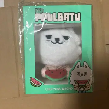 txt 뿔바투 용몽 썸머 플러시 키링 수빈 수박