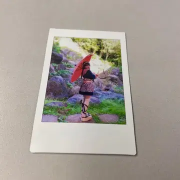 팬텀 시타 괴기 나비 사진집 이벤트 랜덤 폴라로이드 모나