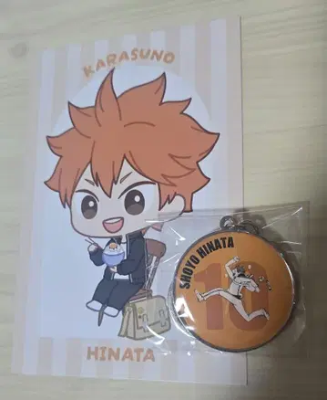 하이큐!! RUN 메탈 키링 컬렉션 히나타 쇼요