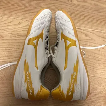 미즈노 모나르시다 네오 풋살화