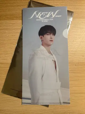 SEVENTEEN 라이브 뷰잉 내장객 특전 티켓 홀더