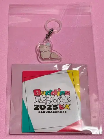 사쿠라자카46 야마시타 시즈키 메지루시 참