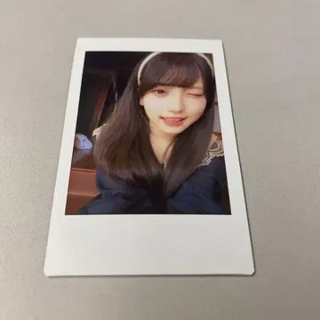 팬텀 시타 괴기 나비 사진집 이벤트 랜덤 폴라로이드 모나