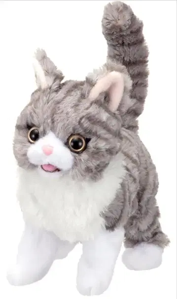 안고 미이미이 아기 고양이 타비