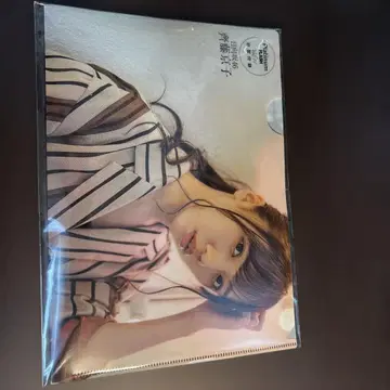 히나타자카46 사이토 쿄코 클리어 파일 B5