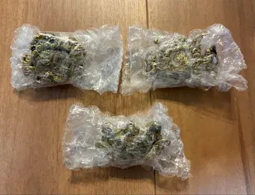 제일복권 죠죠의 기묘한 모험 JOJO WORLD H상 핀즈 3종