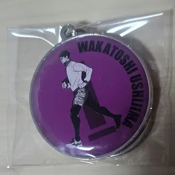 하이큐!! RUN 메탈 키링 컬렉션 우시지마 와카토시