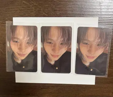 RIIZE FAME 쇼타로 트레이딩 카드 3장 세트