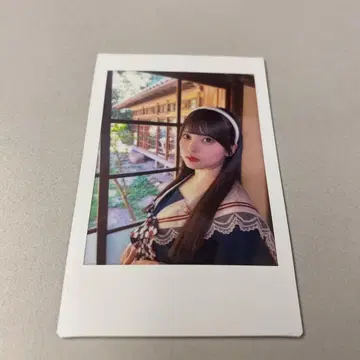 팬텀 시타 괴기 나비 사진집 이벤트 랜덤 폴라로이드 모나