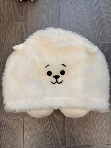 BT21 RJ 넥 필로우