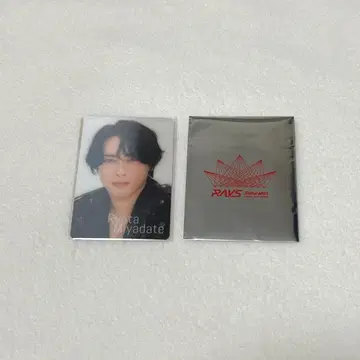 미야타테 료타 카드 세트