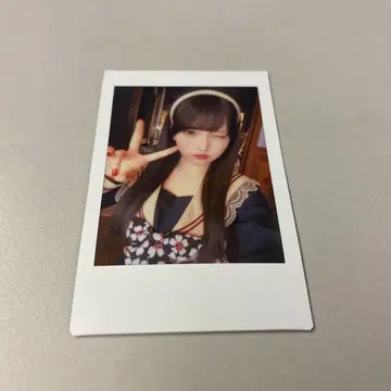 팬텀 시타 괴기 나비 사진집 이벤트 랜덤 폴라로이드 모나