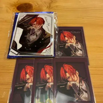 [미스트니] 애스콧 오토후유