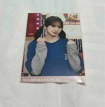 스가와라 사츠키 노기자카 스타 탄생 브로마이드