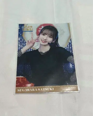 스가와라 사츠키 노기자카 스타 탄생 브로마이드