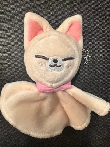 straykids 테루테루보즈 백참 폭시니