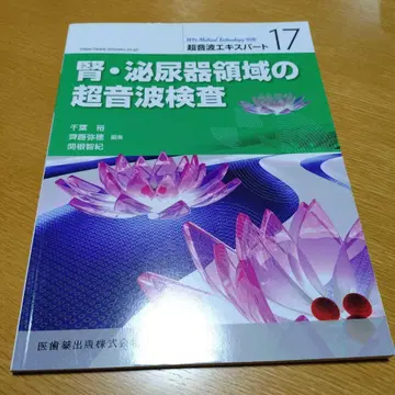 신장 비뇨기 영역의 초음파 검사 초음파 전문가 메디컬 테크놀로지