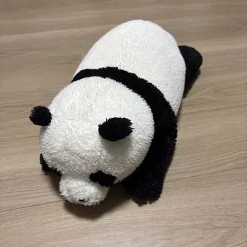 무릎 팬더 산레몬