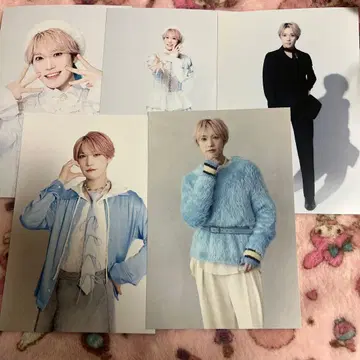 팬더드래곤 타이거 엽서 파라곤