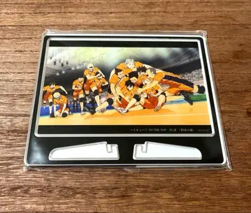 하이큐 아크릴 스탠드 카라스노 고교 미사용 새상품