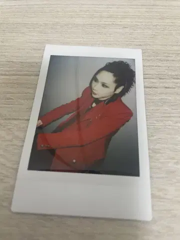 흠집 유에 폴라로이드